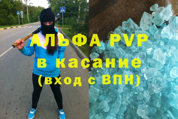 индика Богородицк